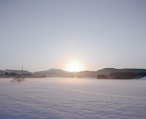 新潟県指定史跡 大葉澤城跡